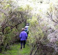 Jack And Hilda McArthur Walk - Accommodation Fremantle