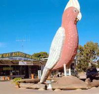 The Big Galah - Accommodation Fremantle