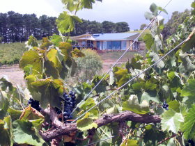 Fleurieu Peninsula SA Accommodation Fremantle