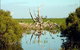 Bool Lagoon Game Reserve And Hacks Lagoon Conservation Park - thumb 0
