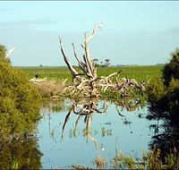 Bool Lagoon Game Reserve and Hacks Lagoon Conservation Park - Accommodation Fremantle