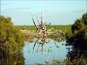 Bool Lagoon Game Reserve And Hacks Lagoon Conservation Park - Accommodation Fremantle 0