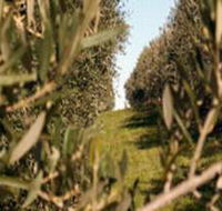 Evilo Estate - Accommodation Fremantle