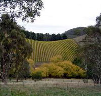 Mt Bera Vineyards - Accommodation Fremantle