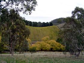 Mt Bera Vineyards - Accommodation Fremantle 0