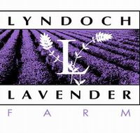 Lyndoch Lavender Farm and Cafe - Accommodation Fremantle