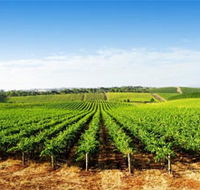 Aldinga Bay Winery - Accommodation Fremantle