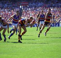 AAMI Stadium Tours - Accommodation Fremantle