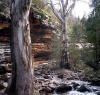 Mount Remarkable National Park - Accommodation Fremantle