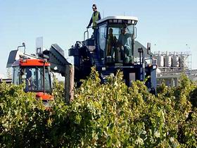 Ballast Stone Estate Wines Pty Ltd - Accommodation Fremantle 0