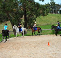 Megan Jones Riding School and Trail Rides - Accommodation Fremantle