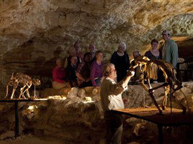 Naracoorte Caves National Park - Accommodation Fremantle 0