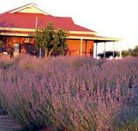 Bella Lavender Estate - Accommodation Fremantle