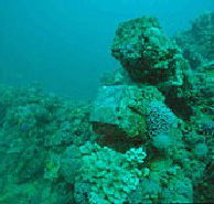 Adelaide's Underwater Heritage Trail - Accommodation Fremantle
