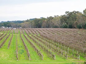 Dennis Wines - Accommodation Fremantle 0