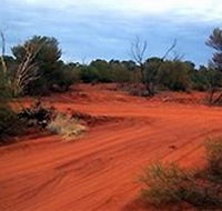 Tallaringa Conservation Park - Accommodation Fremantle