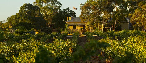Greenock Creek Wines - Accommodation Fremantle 2