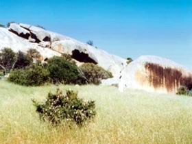 Ucontitchie Hill - Accommodation Fremantle 0