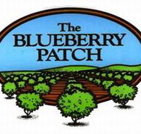 The Blueberry Patch - Accommodation Fremantle