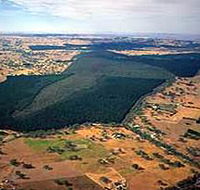 Mount Crawford Forest Reserve - Accommodation Fremantle