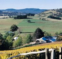 Freycinet Vineyards Pty Ltd - Accommodation Fremantle