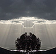 aart. Gallery of Fine Art - Accommodation Fremantle