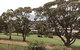 Rosny Park Public Golf Course - thumb 0