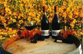 Craigow Vineyard - Accommodation Fremantle 0