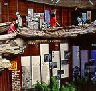 West Coast Visitor Information and Booking Centre - Accommodation Fremantle