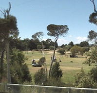 Greens Beach Golf Course - Accommodation Fremantle