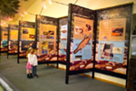 Platypus Experience - Accommodation Fremantle 0