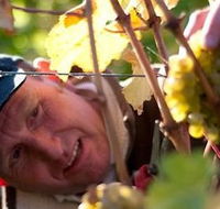 Puddleduck Vineyard - Accommodation Fremantle
