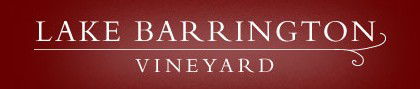 Lake Barrington Estate Vineyard - Accommodation Fremantle 0