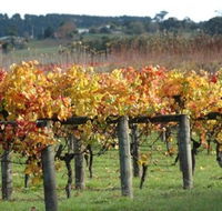 Apsley Gorge Vineyard - Accommodation Fremantle