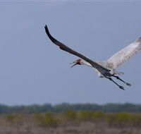 Gayngaru Wetlands Interpretive Walk - Accommodation Fremantle
