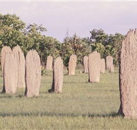 Magnetic Termite Mounds - Accommodation Fremantle