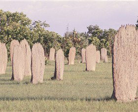 Magnetic Termite Mounds - Accommodation Fremantle 0