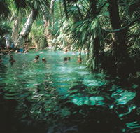 Mataranka Thermal Pool - Accommodation Fremantle