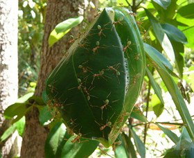 Greenant Creek Walk - Accommodation Fremantle 0