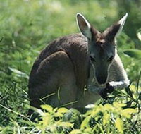 Tjaetaba Falls - Accommodation Fremantle