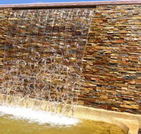 Howard Springs Nature Park - Accommodation Fremantle