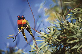 Wangi Falls Walk - Accommodation Fremantle 0