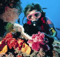 Cook Island Dive Site - Accommodation Fremantle