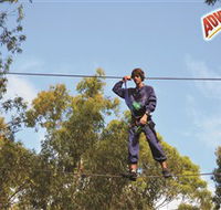 Adventure Parc at Currumbin Wildlife Sanctuary - Accommodation Fremantle