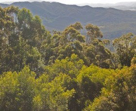 Reesville QLD Accommodation Fremantle