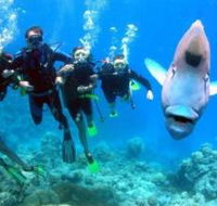 Magic Mountain Dive Site - Accommodation Fremantle