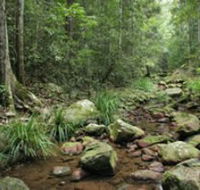 Amamoor State Forest - Accommodation Fremantle