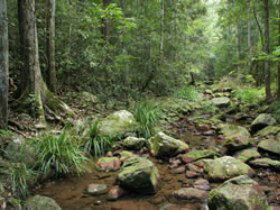 Amamoor State Forest - Accommodation Fremantle 0