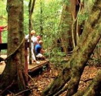 Mary Cairncross Scenic Reserve - Accommodation Fremantle