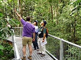 Daintree Discovery Centre - Accommodation Fremantle 0